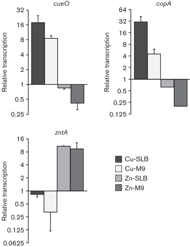 Fig. 2. 