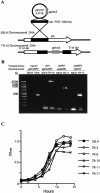 FIG. 1.
