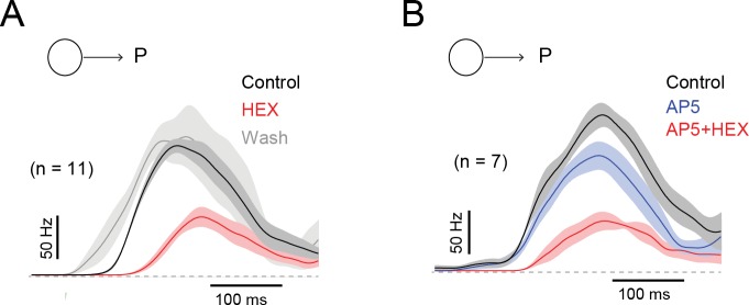 Figure 7—figure supplement 1.