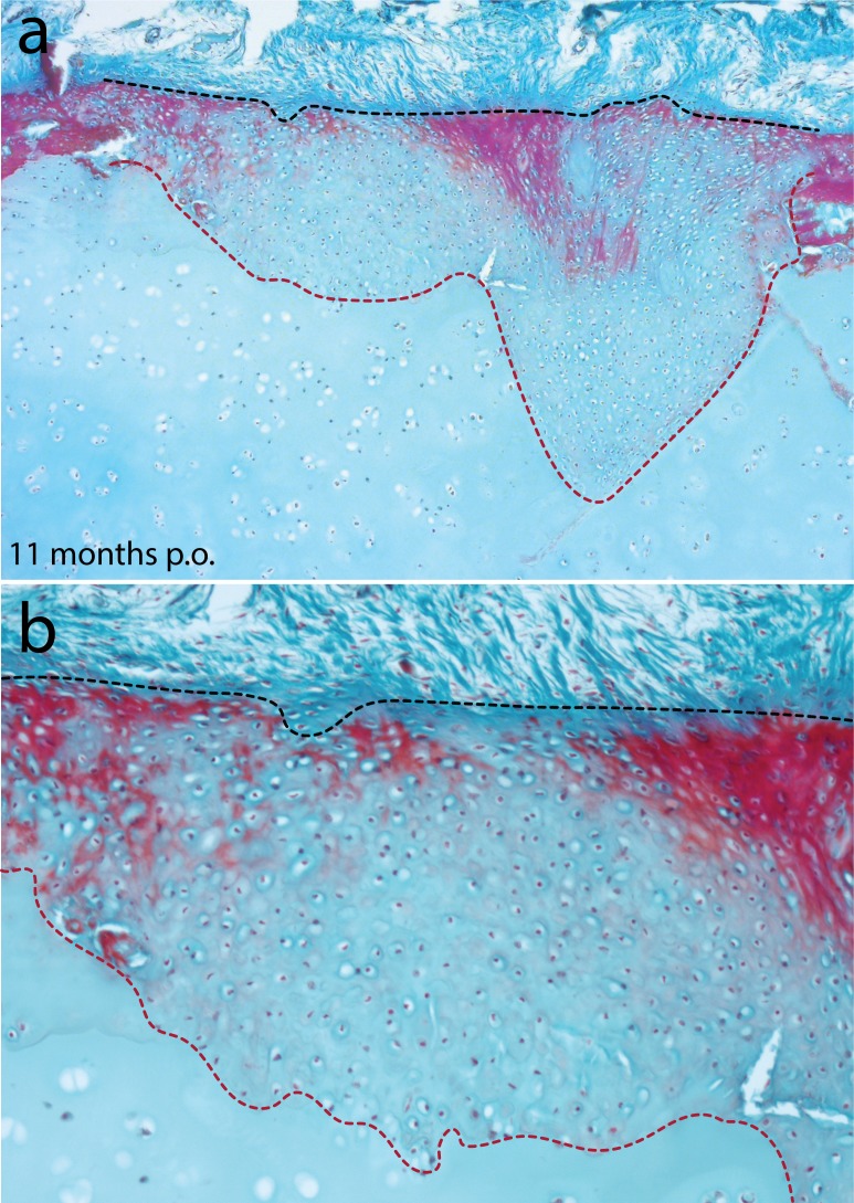 Figure 8—figure supplement 2.