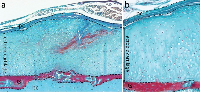 Figure 8—figure supplement 5.