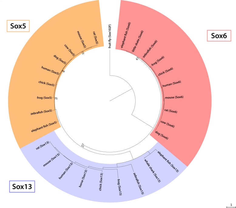 Figure 3—figure supplement 4.