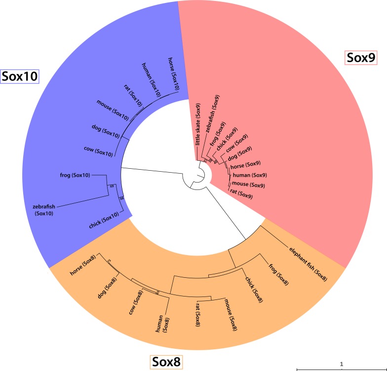 Figure 3—figure supplement 3.