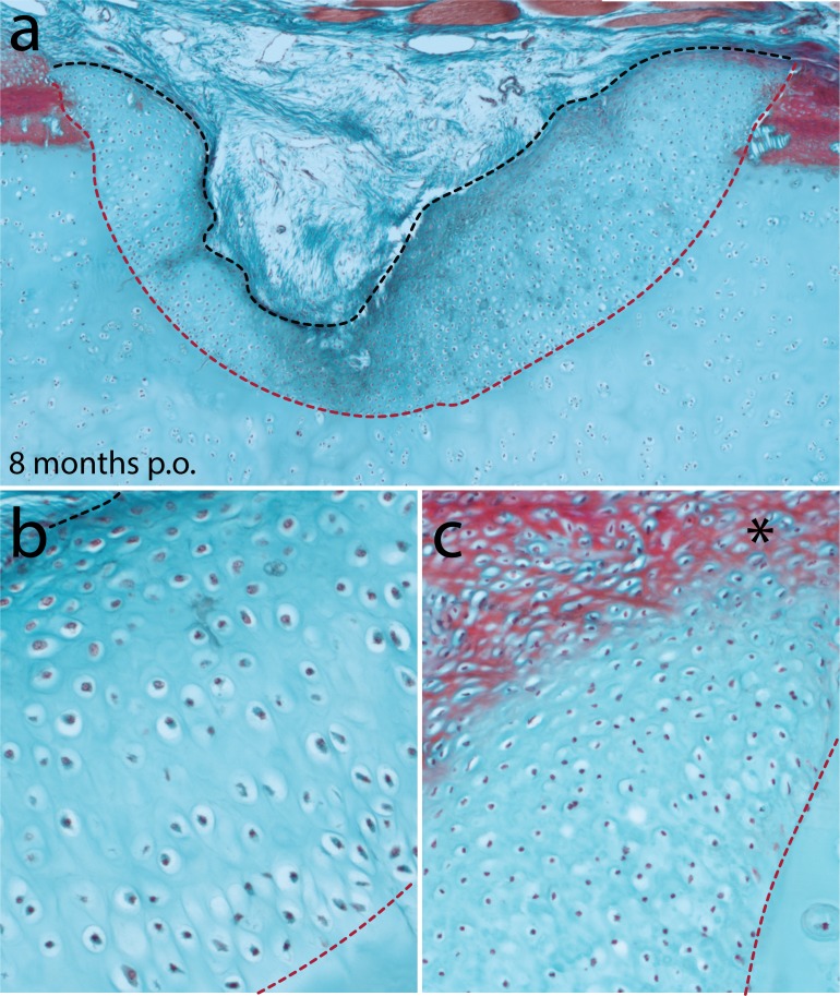 Figure 8—figure supplement 1.