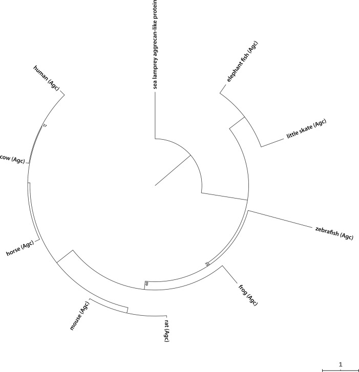 Figure 3—figure supplement 2.