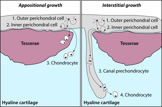 Figure 9.