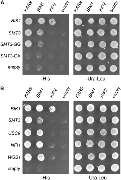 Figure 2.—