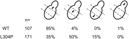 Figure 7.—