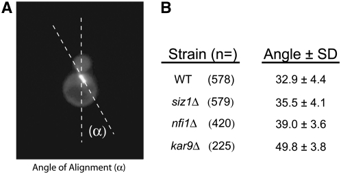 Figure 10.—