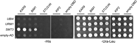 Figure 1.—