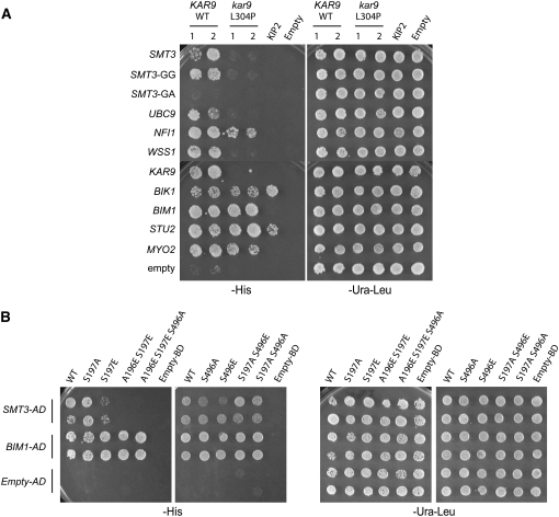 Figure 6.—