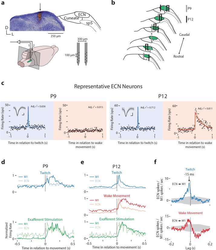 Figure 6—figure supplement 1.