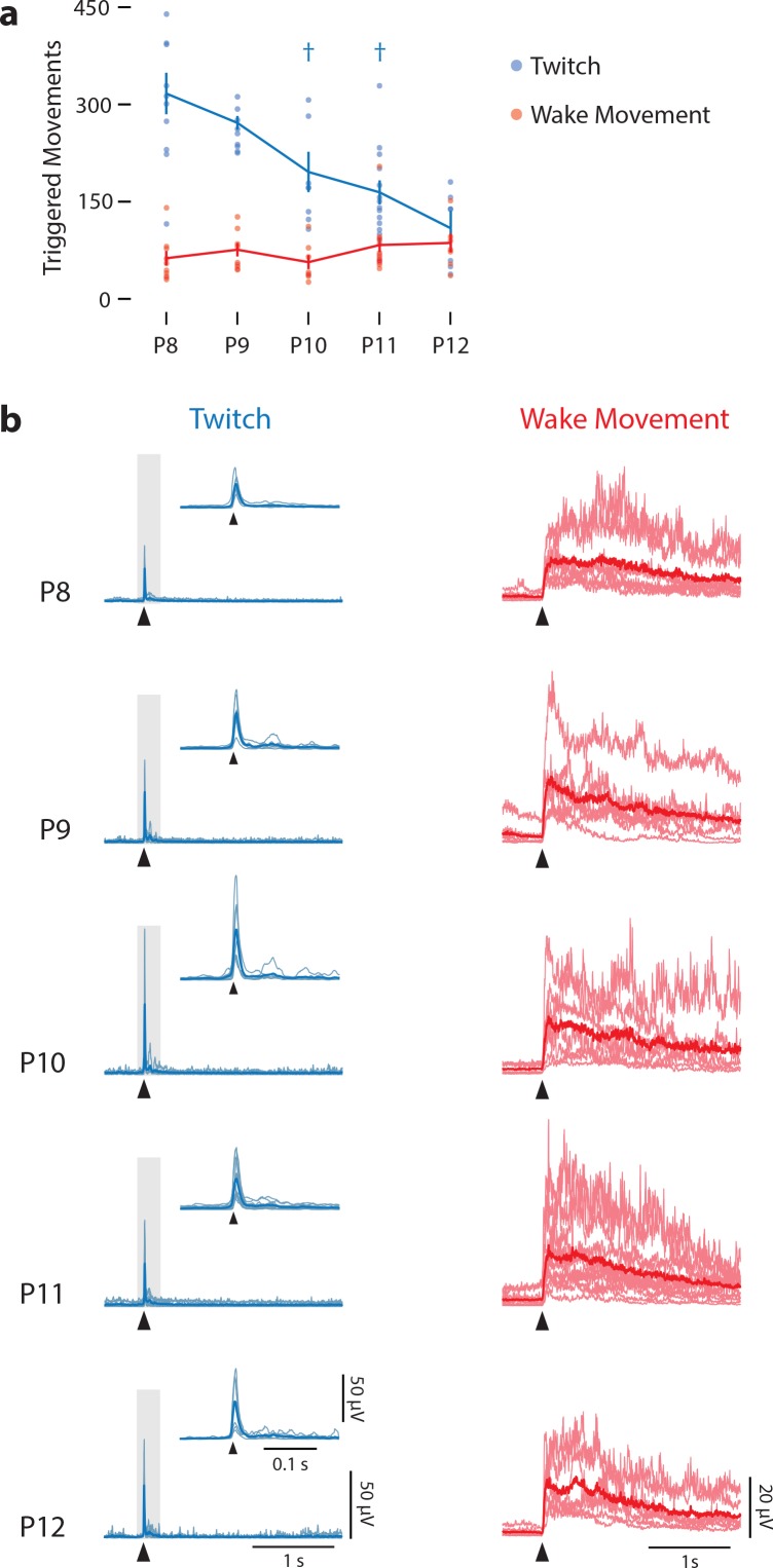 Figure 1—figure supplement 2.