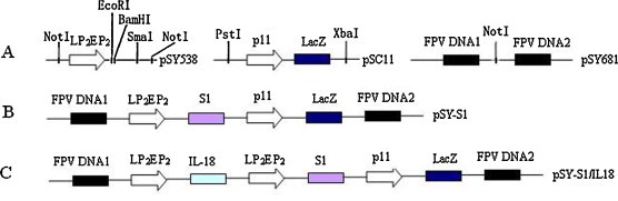 Fig. 1