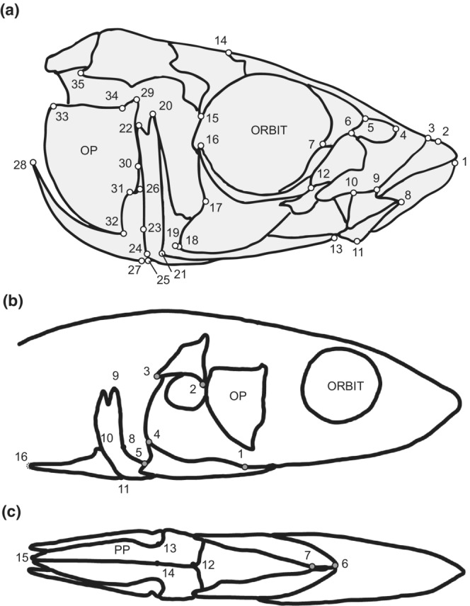 FIGURE 1