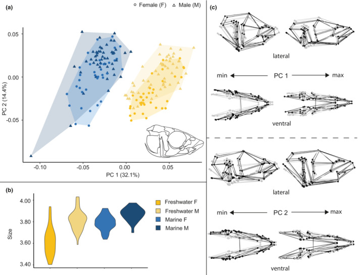 FIGURE 2