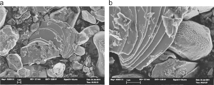 Fig. 7