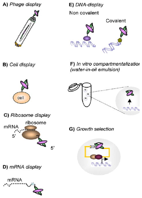 Fig. (4)