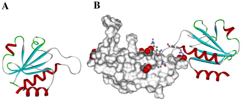 Fig. (1)