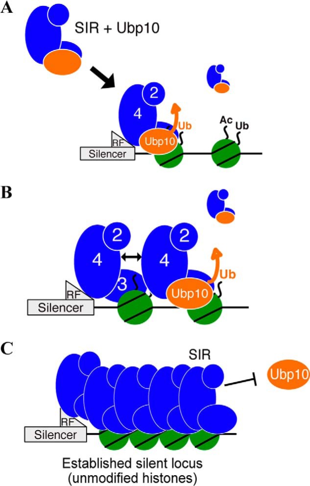 Figure 7.