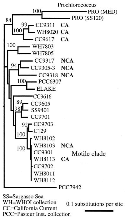 FIG. 3