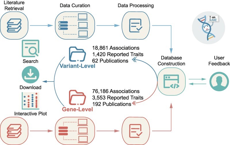 Graphical Abstract