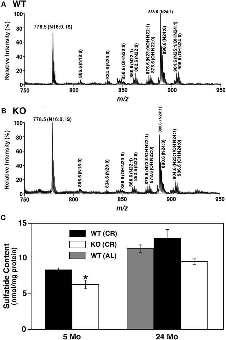 Fig. 5.