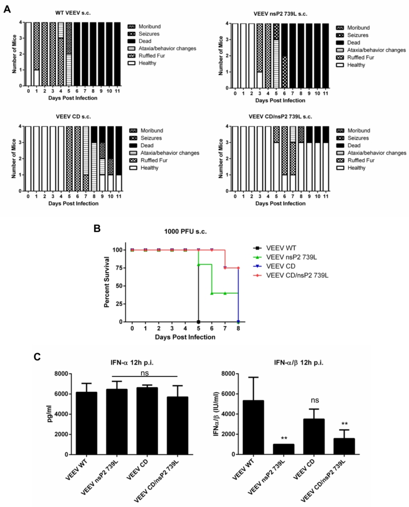 Fig 10