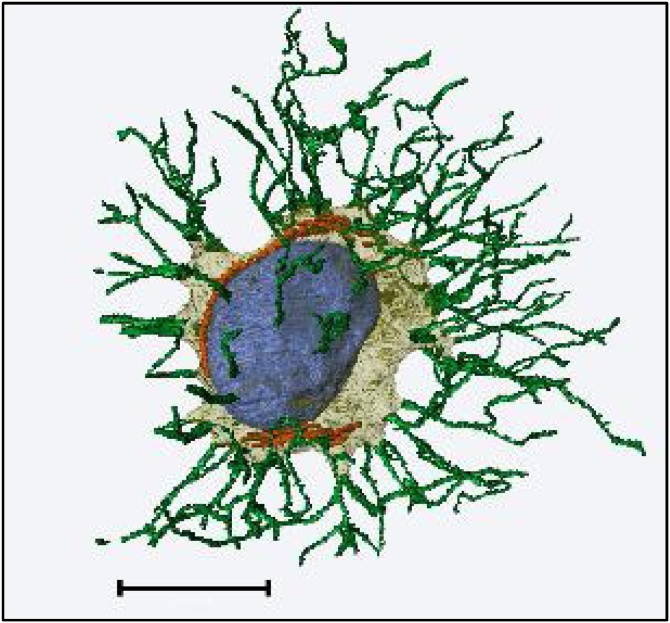 Fig. 10