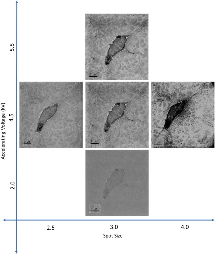 Fig. 9