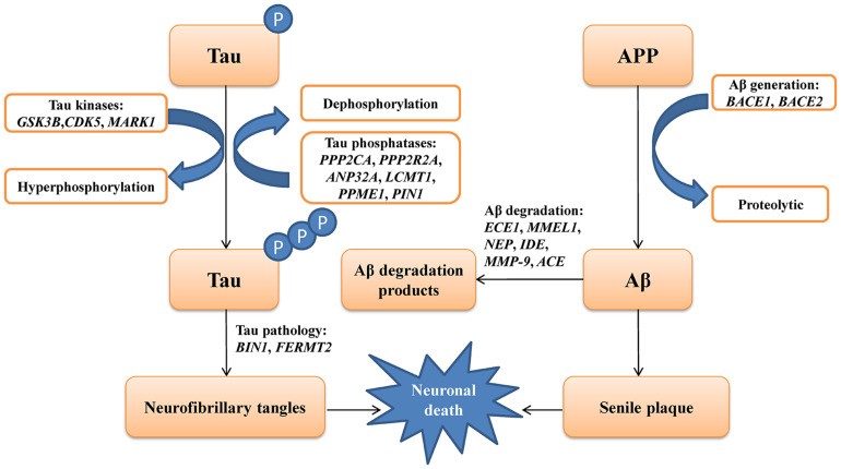 FIGURE 1