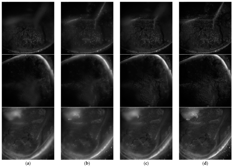 Figure 7