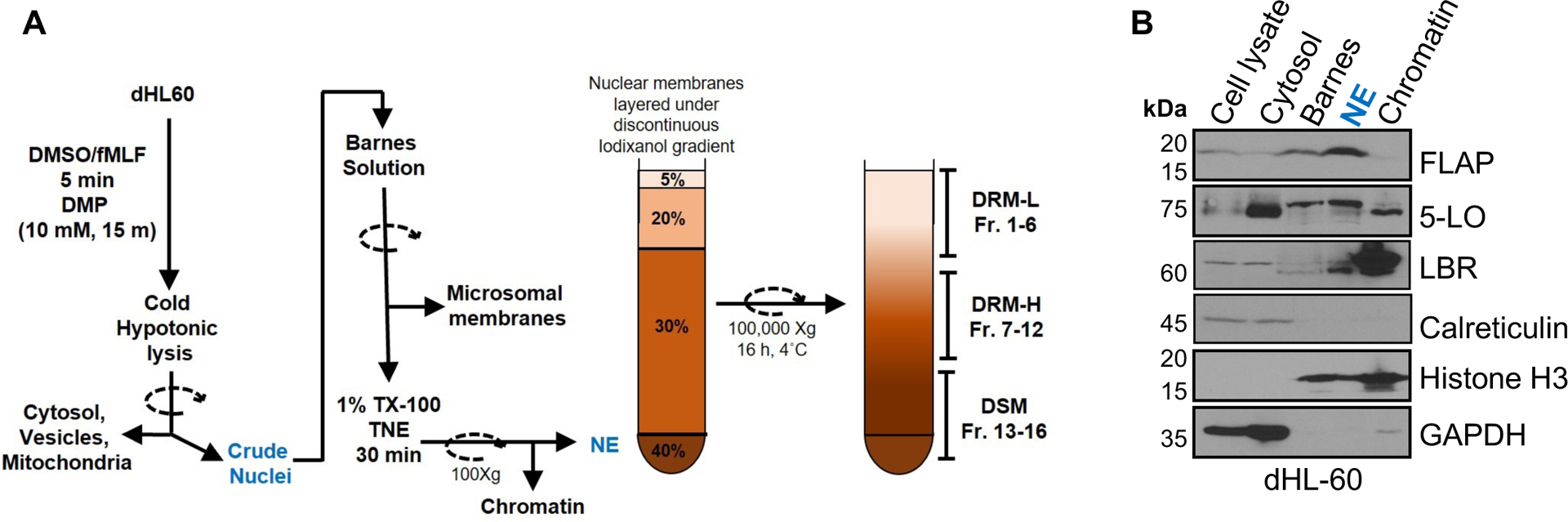 Extended Data Fig. 3