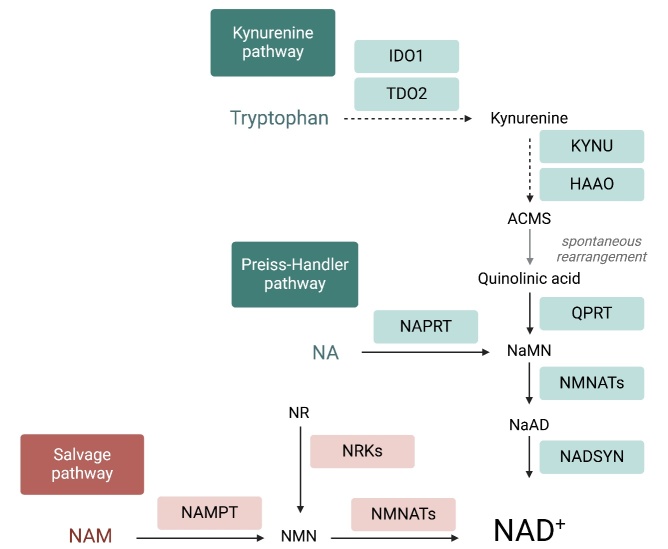 Figure 1.