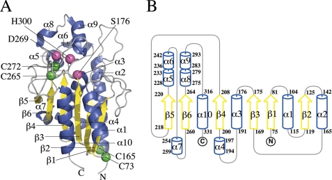 FIGURE 3.