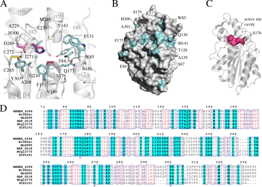 FIGURE 4.