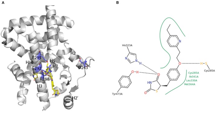 FIGURE 4