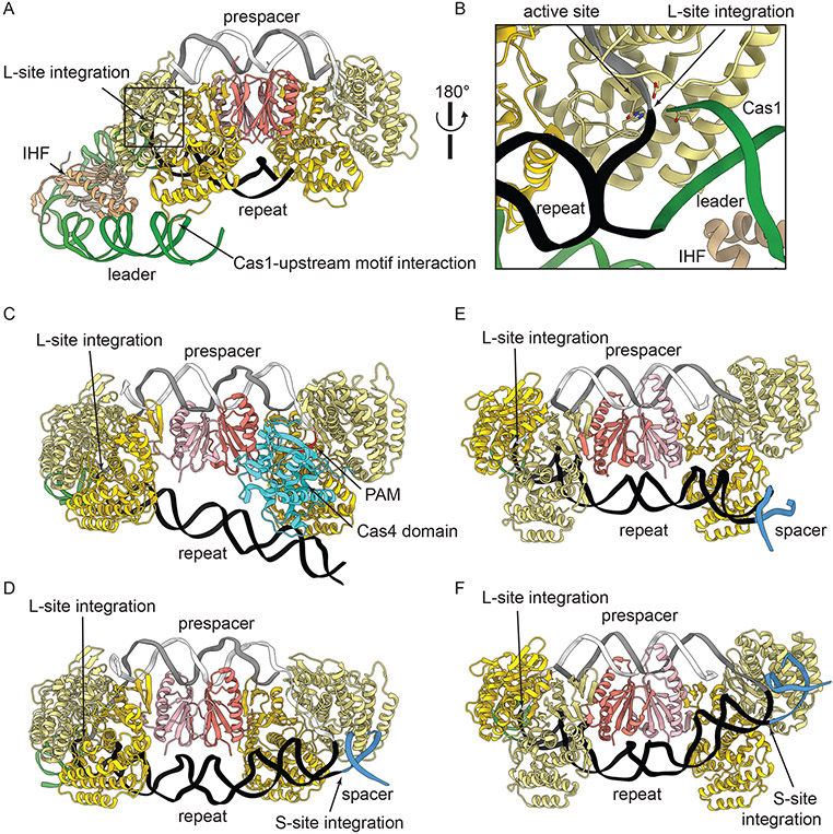 Figure 4: