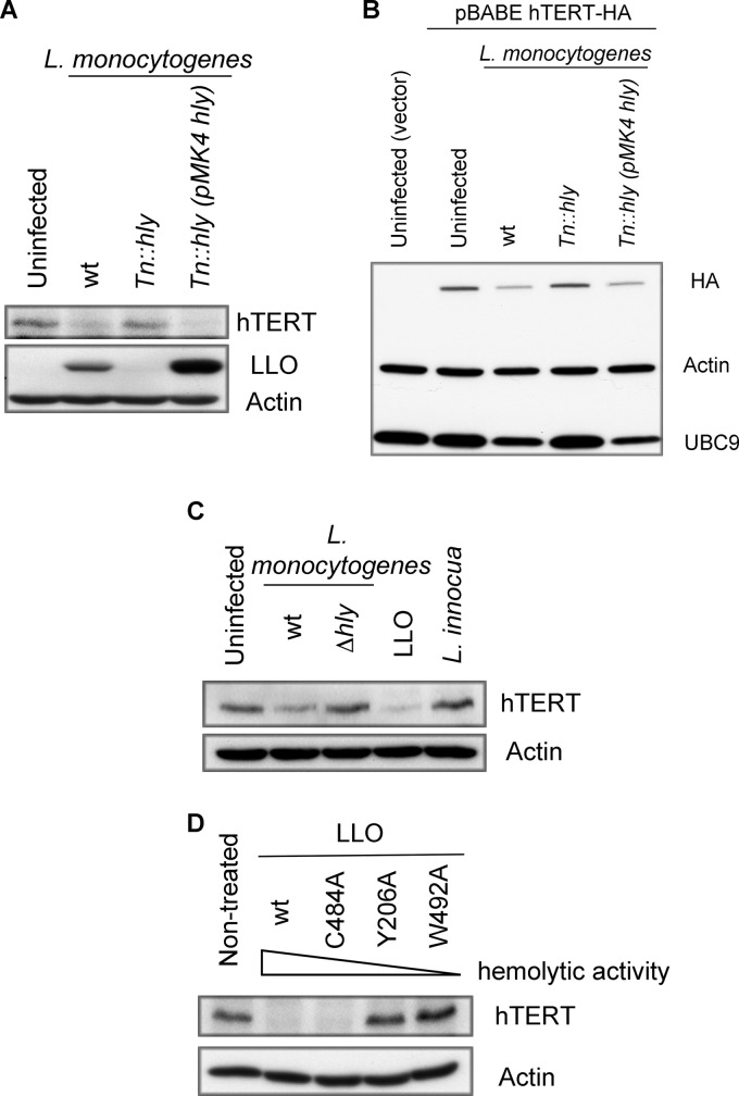 Fig 5