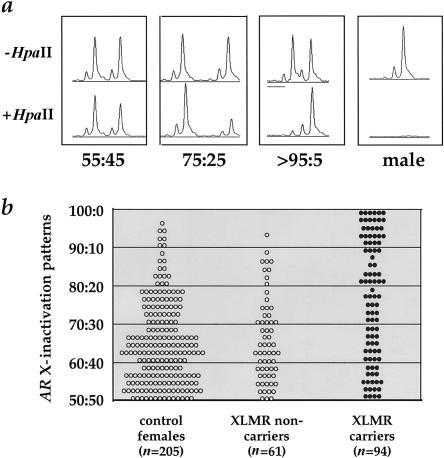 Figure  1