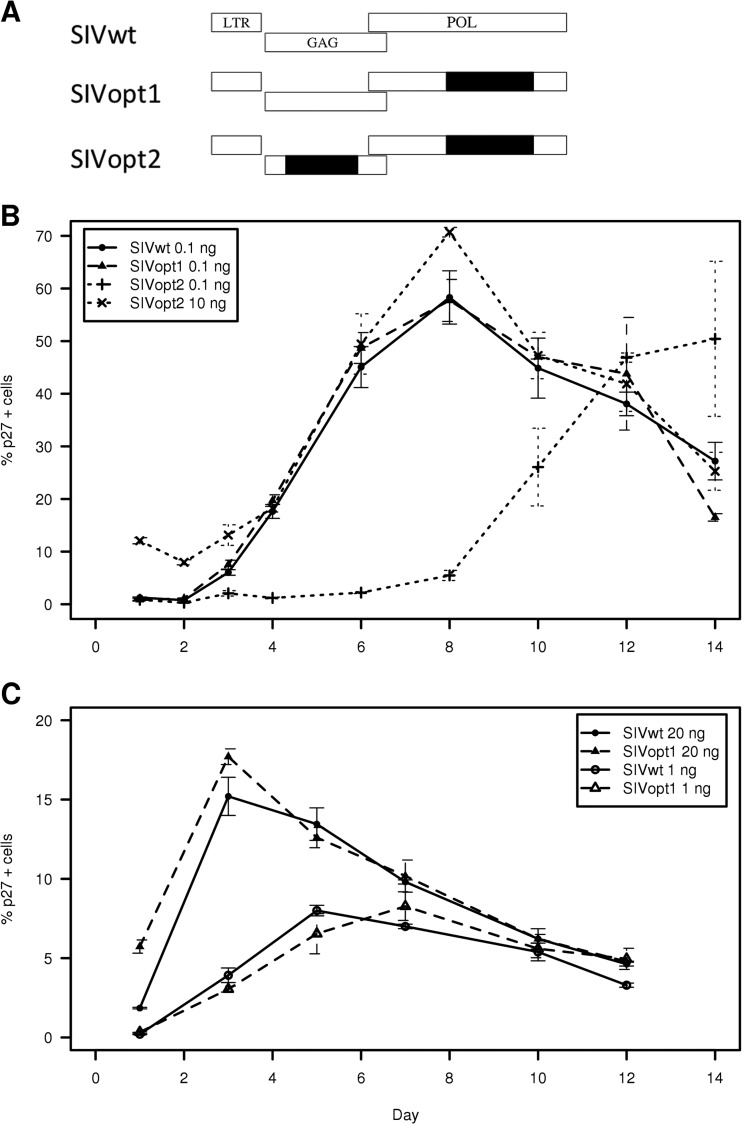 FIG 3