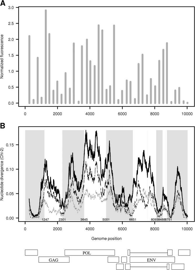 FIG 2