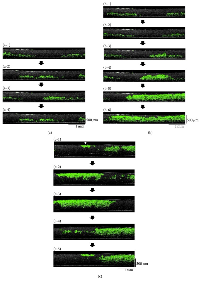 Figure 5