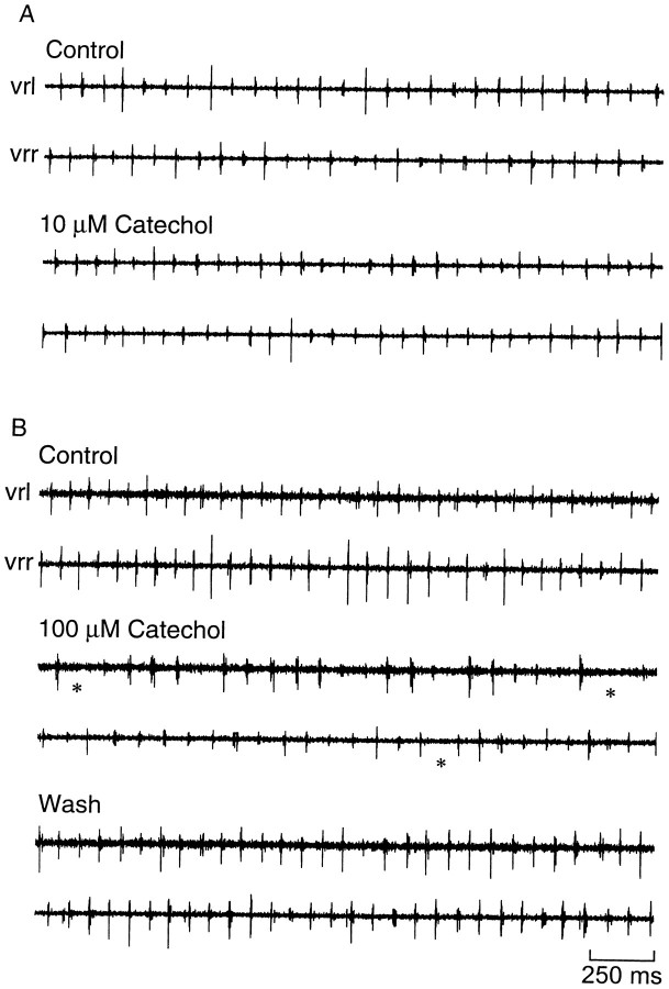 Fig. 9.