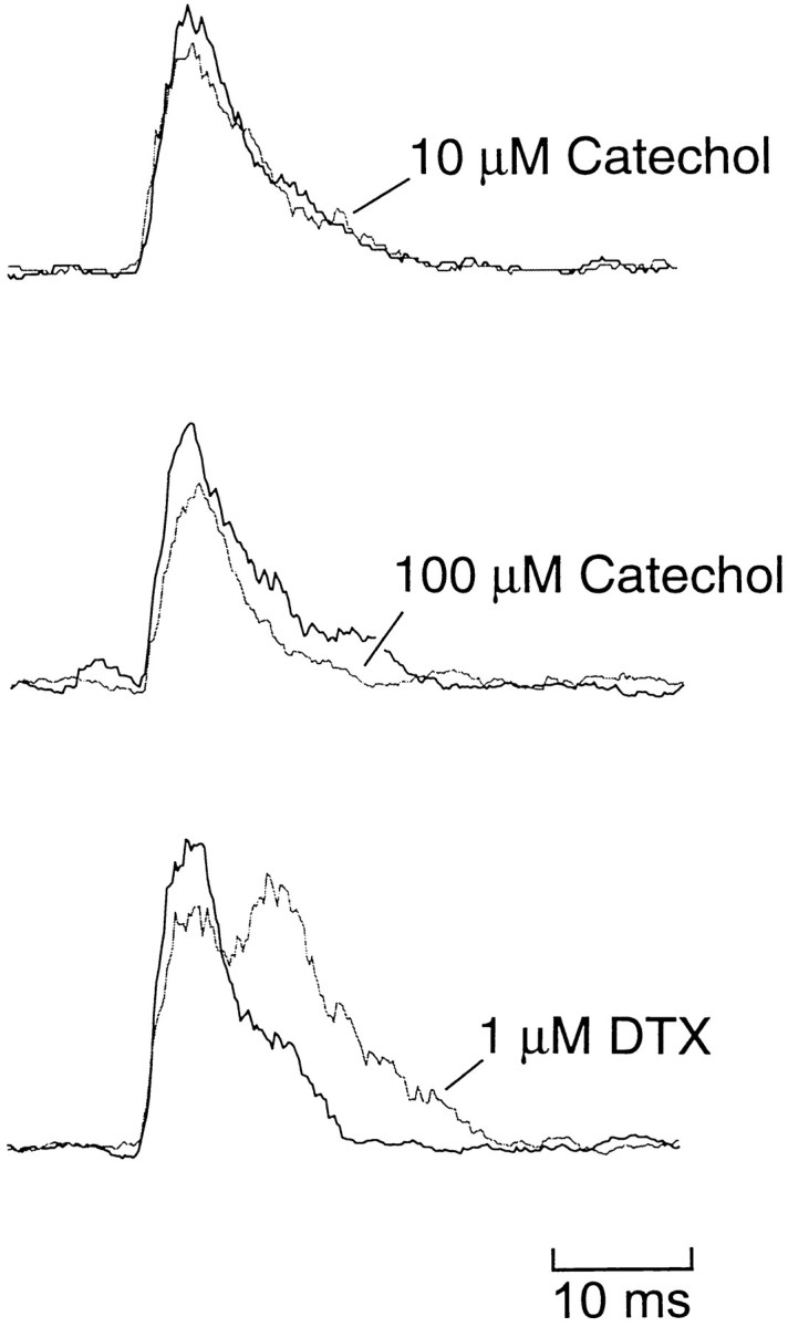 Fig. 10.