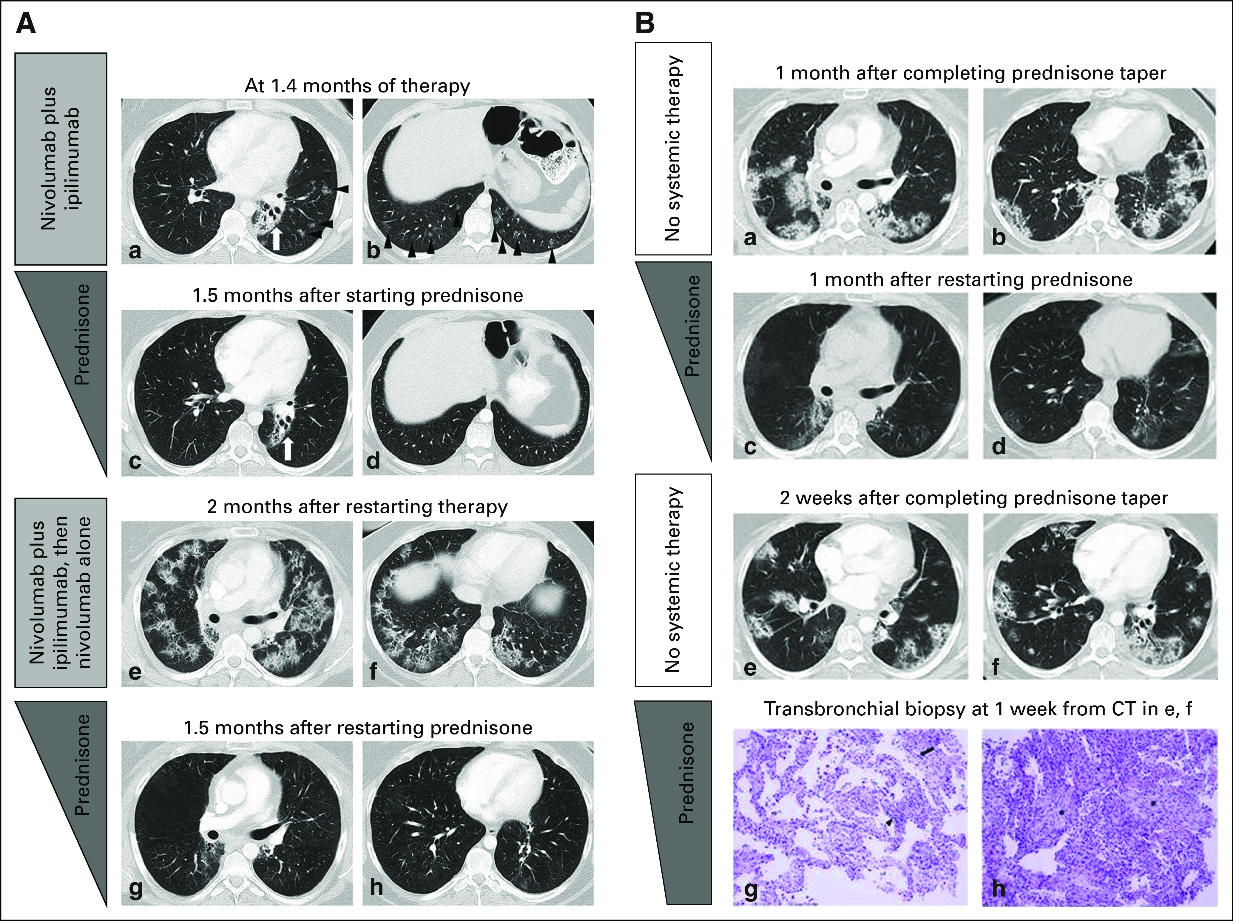 Fig 2.