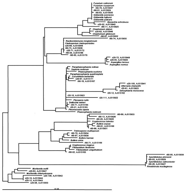 FIG. 5.