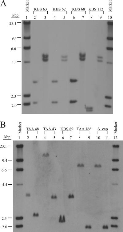 FIG. 5.