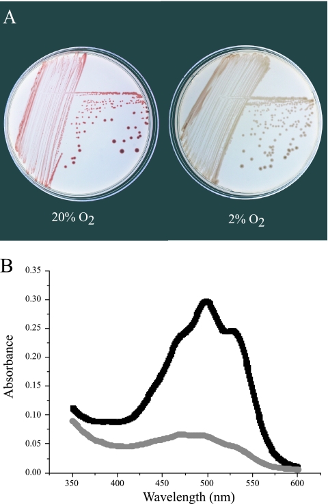 FIG. 4.