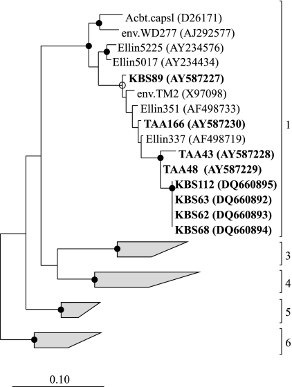 FIG. 6.